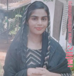 Anshida Anshida